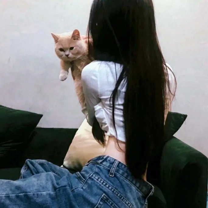 汤姆历险记